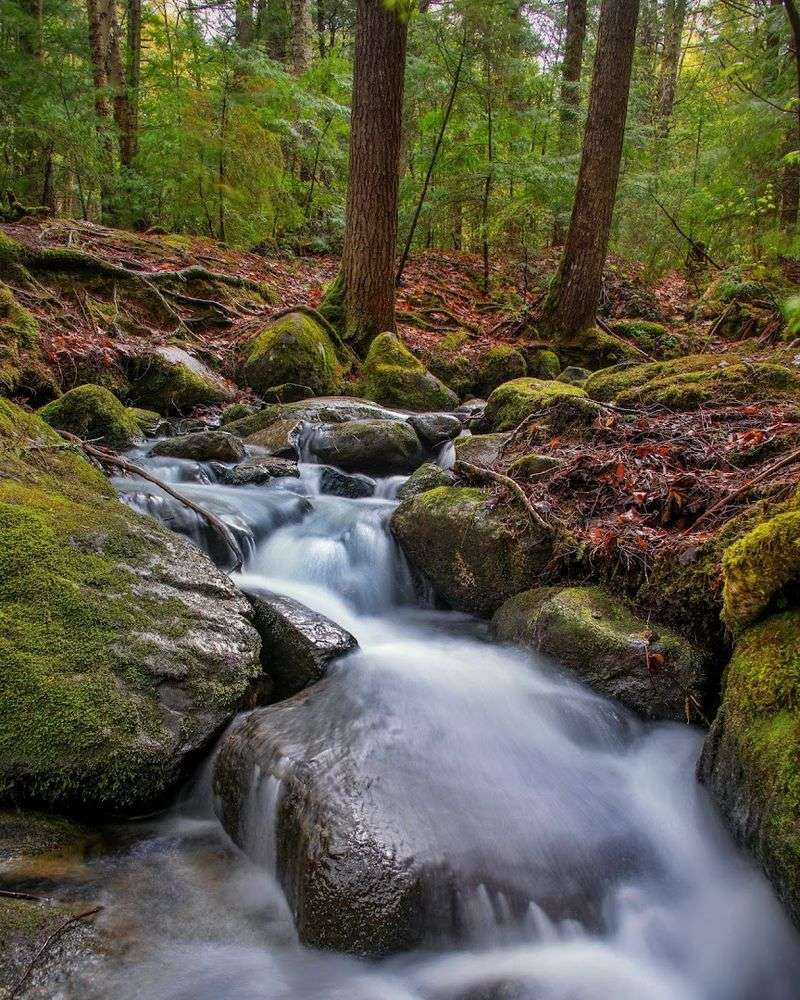 A Storybook Pocket Of Maine