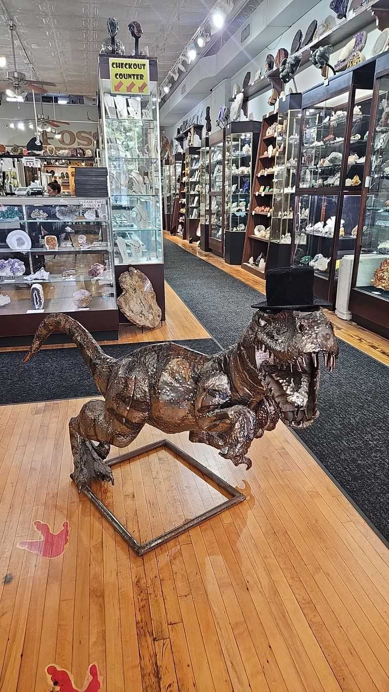 Dinosaurs, Fossils, And The Thrill Of Deep Time