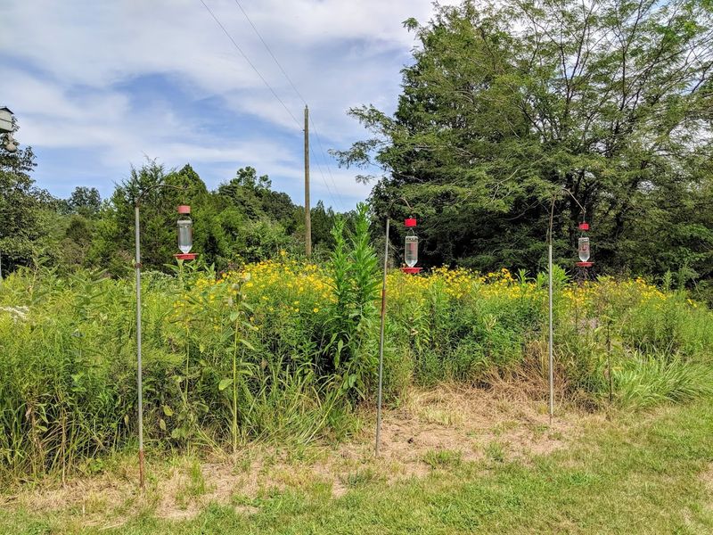 Outstanding Birdwatching