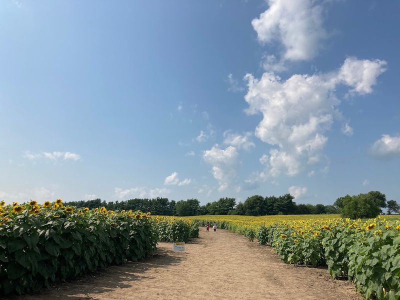 Photography Opportunities Are Exceptional