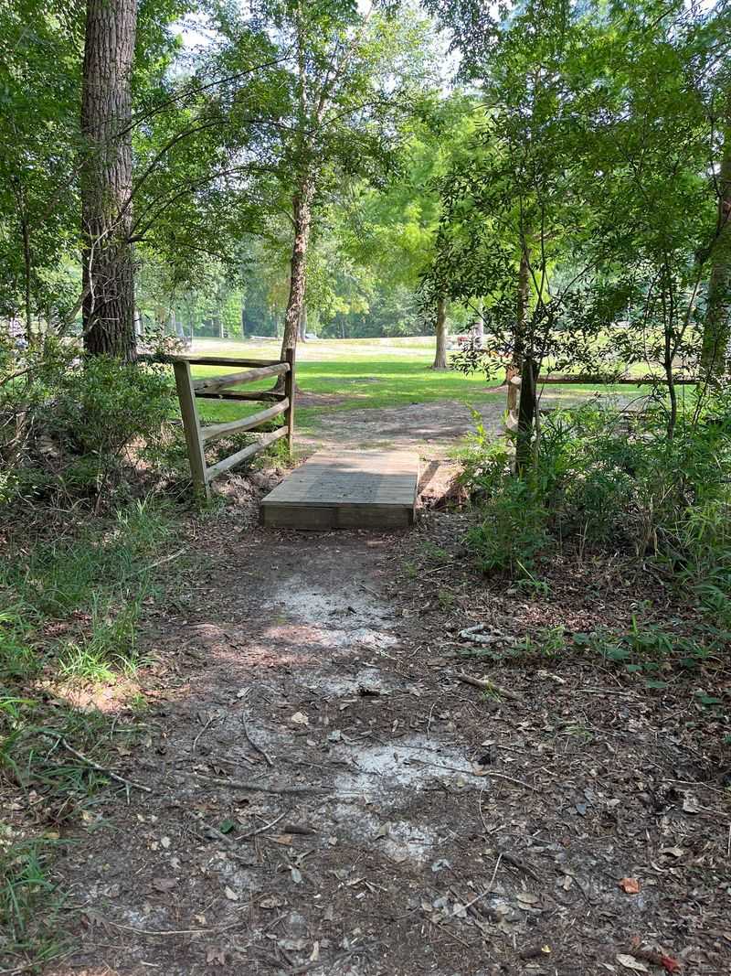 A Sweet Spot For Picnics