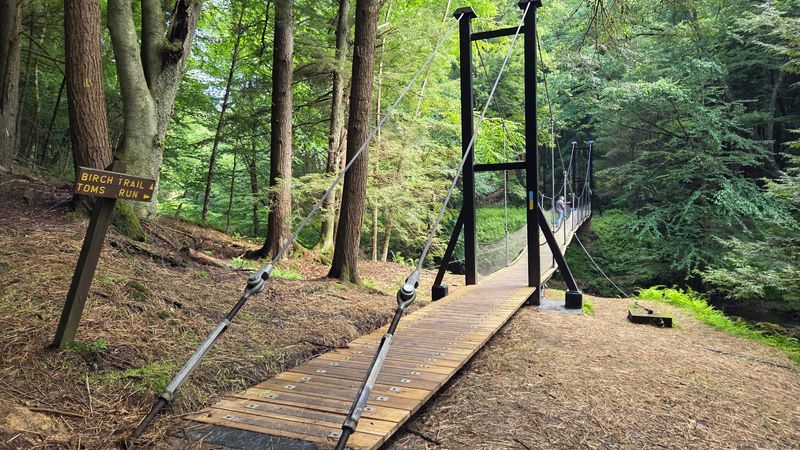 A Swinging Bridge Hidden Deep In The Woods A Swinging Bridge Hidden Deep In The Woods