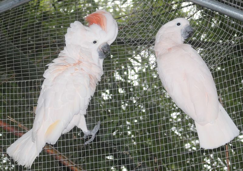 A Refuge Operating Without Government Support