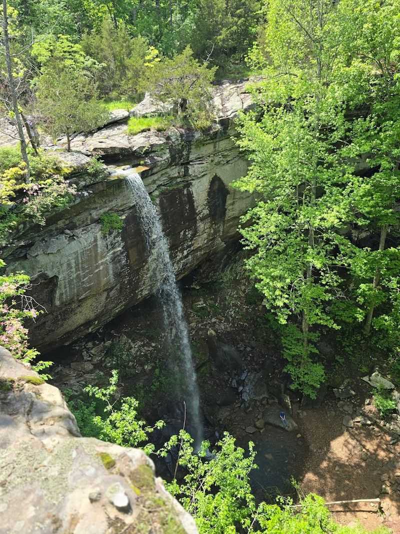 A Tall Cascade In A Woodland Hollow