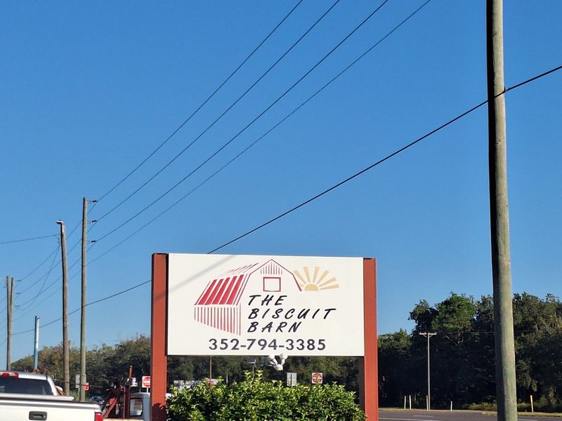 A Rush Of Warmth And Comfort