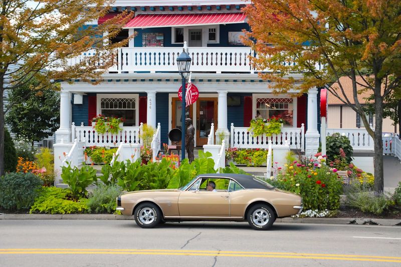 Holiday Bark And Michigan-Maple Moments