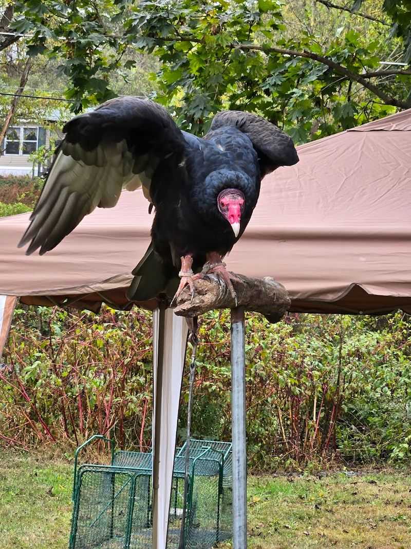 A 4.9-Star Rating That Reflects Real Community Trust