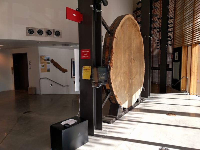 A Ten-Foot Window Into Nearly Two Millennia