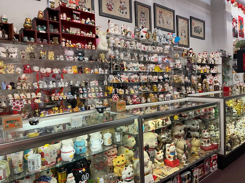 Meet the Curator Who Knows Every Cat