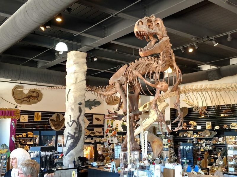 A Three-Floor Museum Experience That Covers Millions Of Years