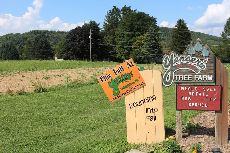 A Three-Generation Family Farm With Real Roots