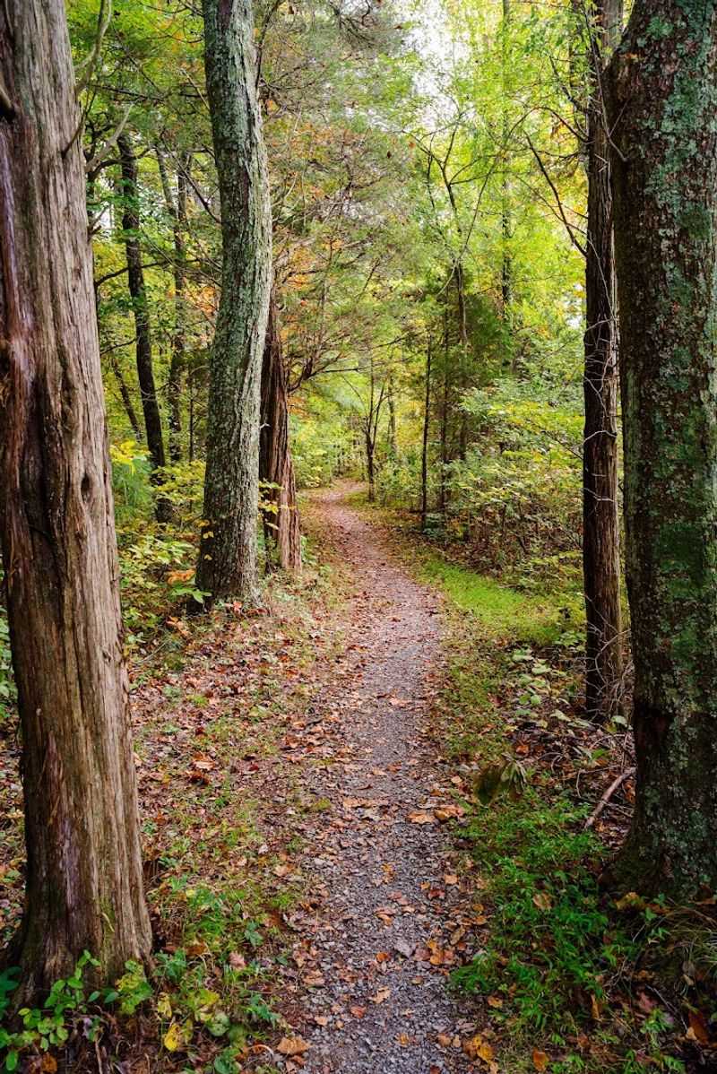 A Three-Mile Loop Around The Lake