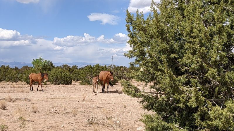 Small-Town Charm With Big-City Convenience Nearby