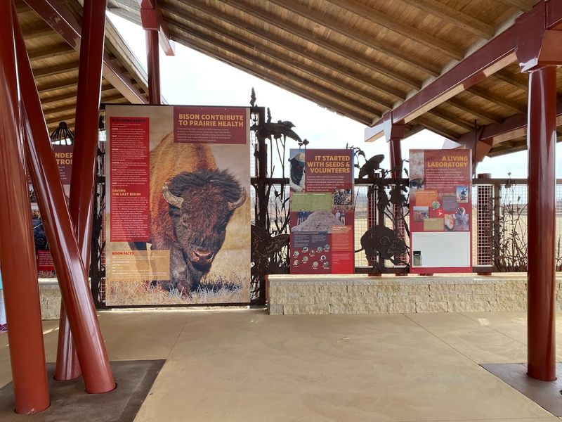 Volunteers Power The Whole Operation