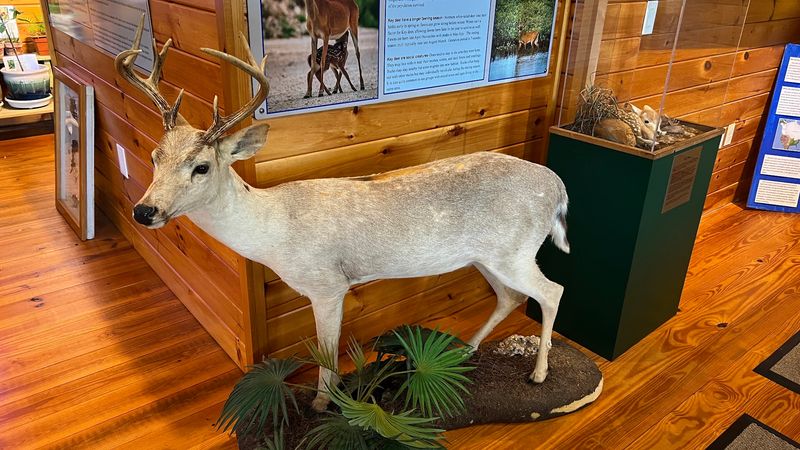 A Tiny Nature Center With A Giant Mission A Tiny Nature Center With A Giant Mission