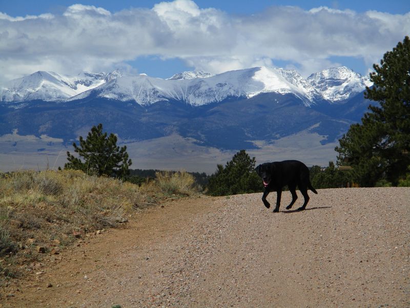 Text This Line Later