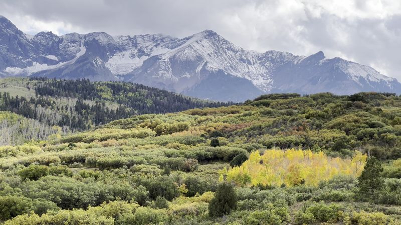 Altitude That Takes Your Breath Away