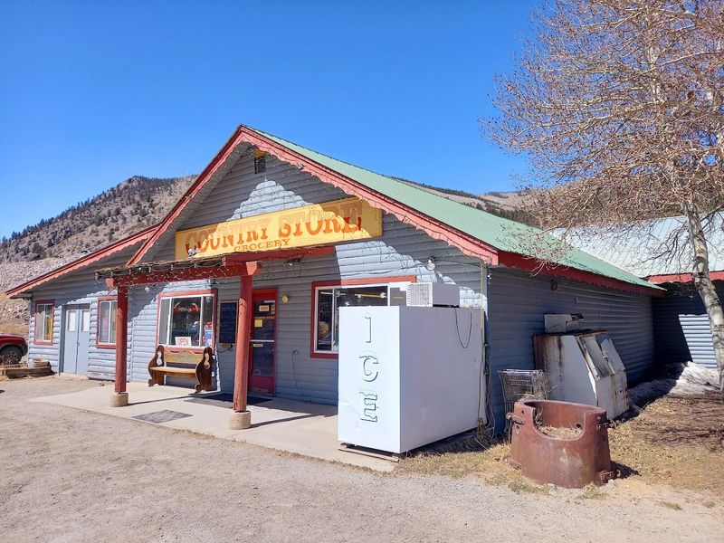 The Hummingbird Story That Puts This Place On The Map