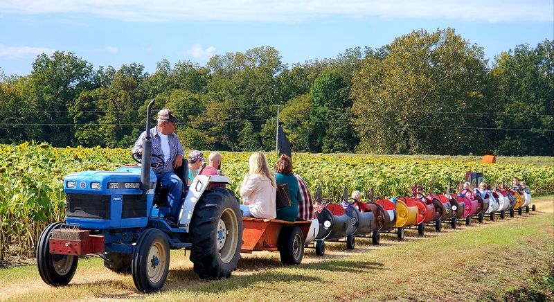 A Tractor-Pulled Train Takes Kids On A Farm Adventure