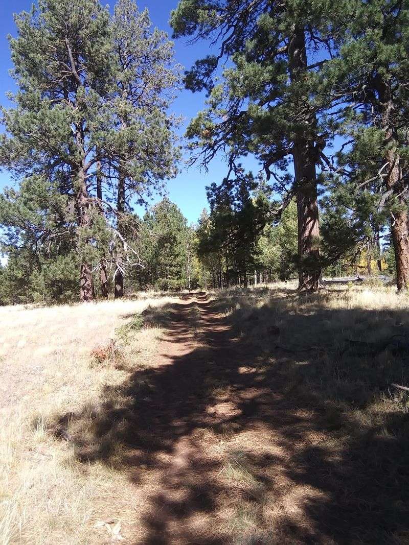 A Trail Built For Beginners And Beyond
