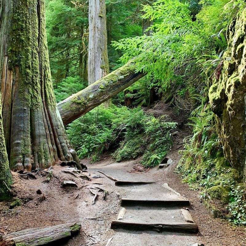 A Trail Built With Families In Mind