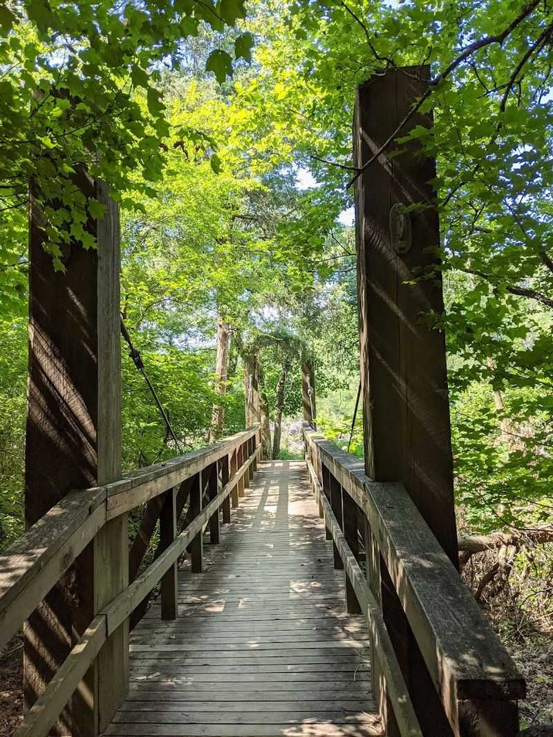 A Trail Framed By Forest And River