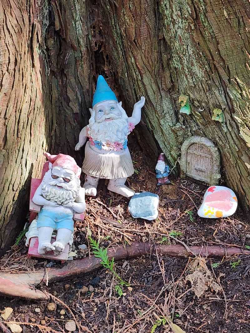 A Trail Made For Curious Kids