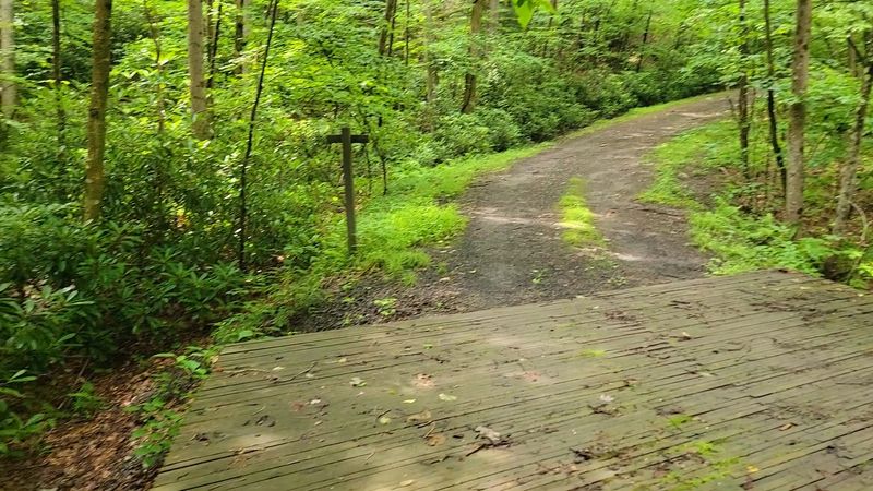 A Trail Network Built For Multiple Skill Levels A Trail Network Built For Multiple Skill Levels