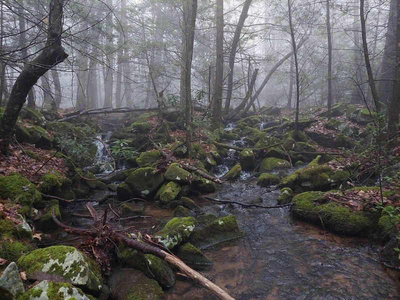 Dispersed Camping That Feels Genuinely Remote