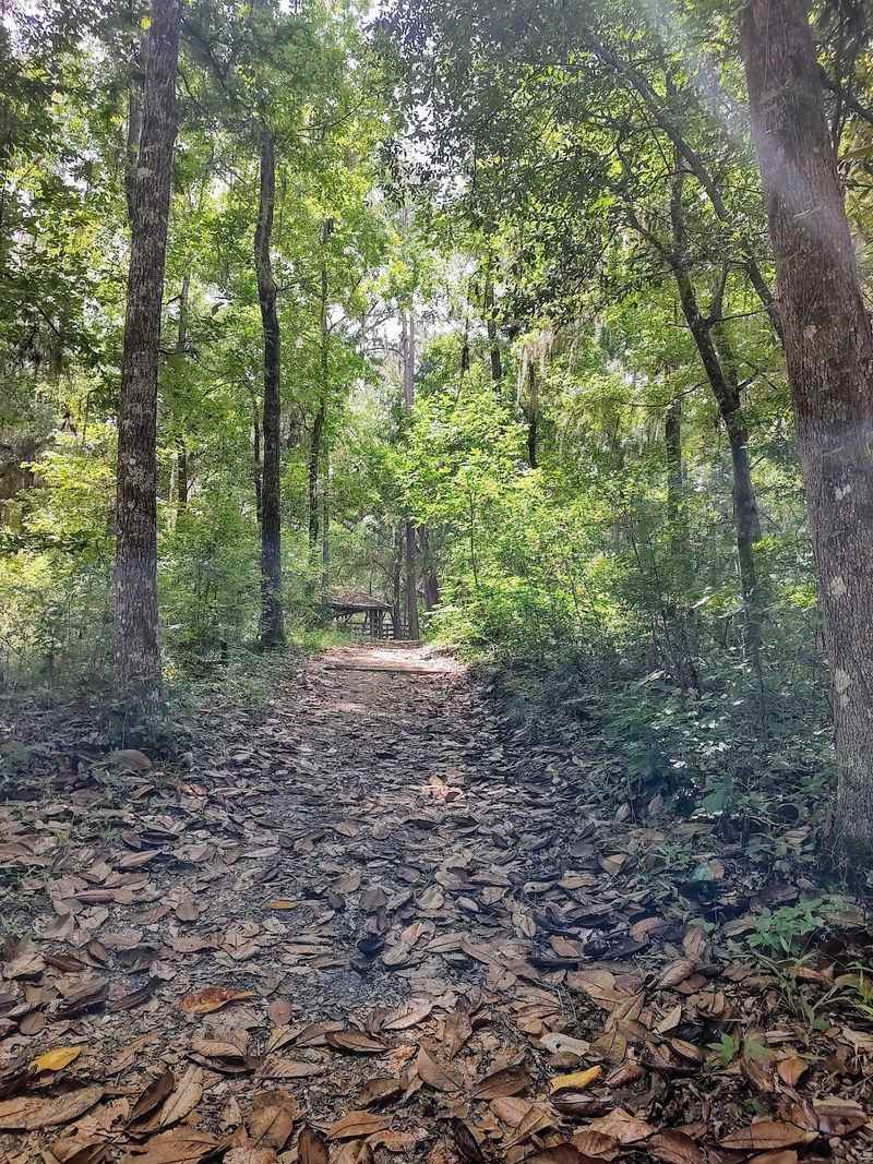 A Trail Short Enough For Little Legs