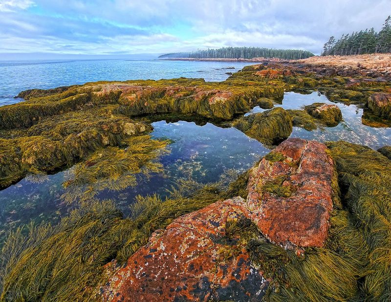 Simple Tips For A Better Visit