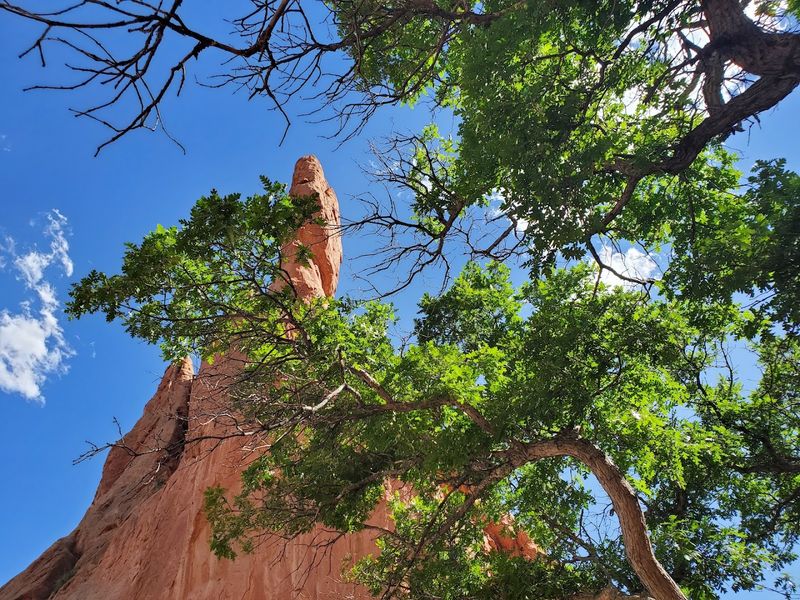 Red Rocks That Look Almost Too Perfect To Be Real