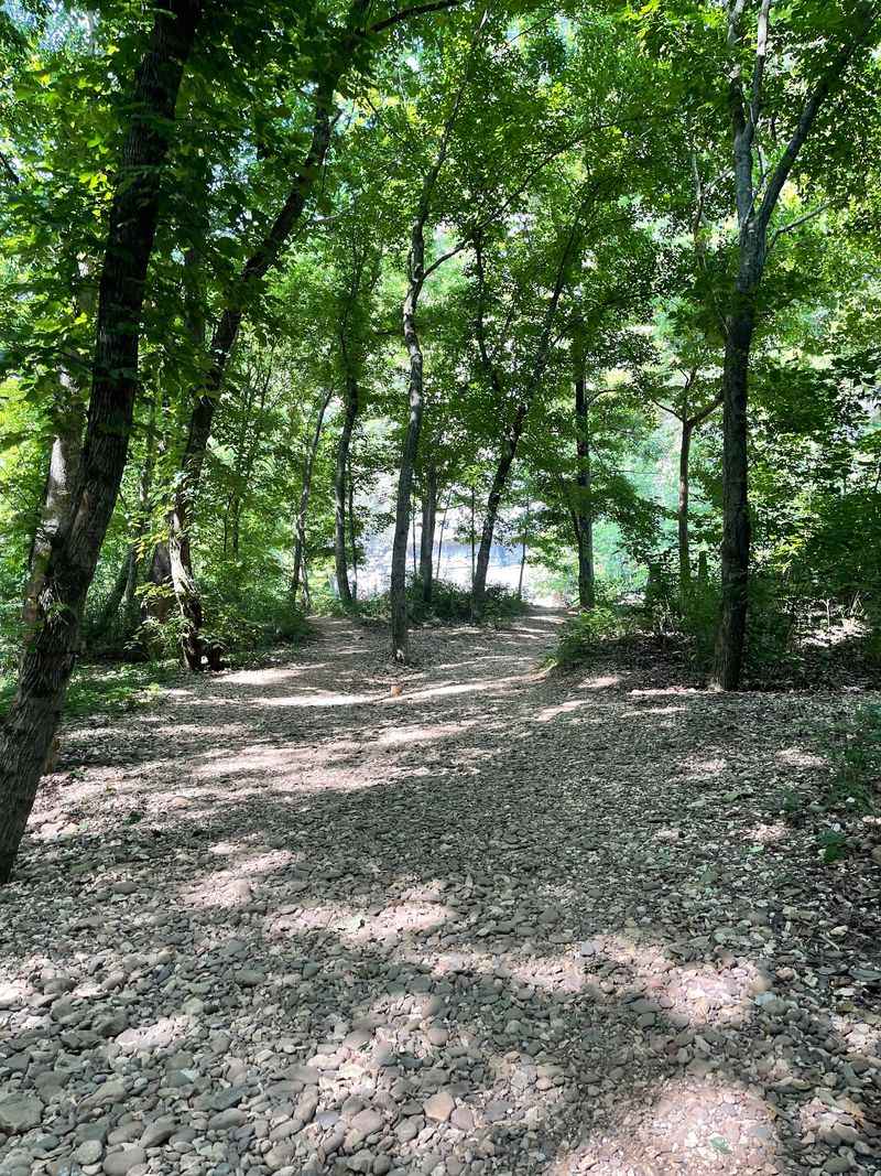 A Trail That Drops Toward The River