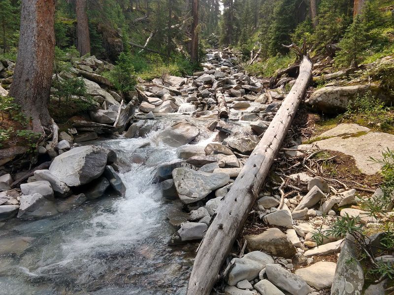 Timing Your Visit Like A Pro