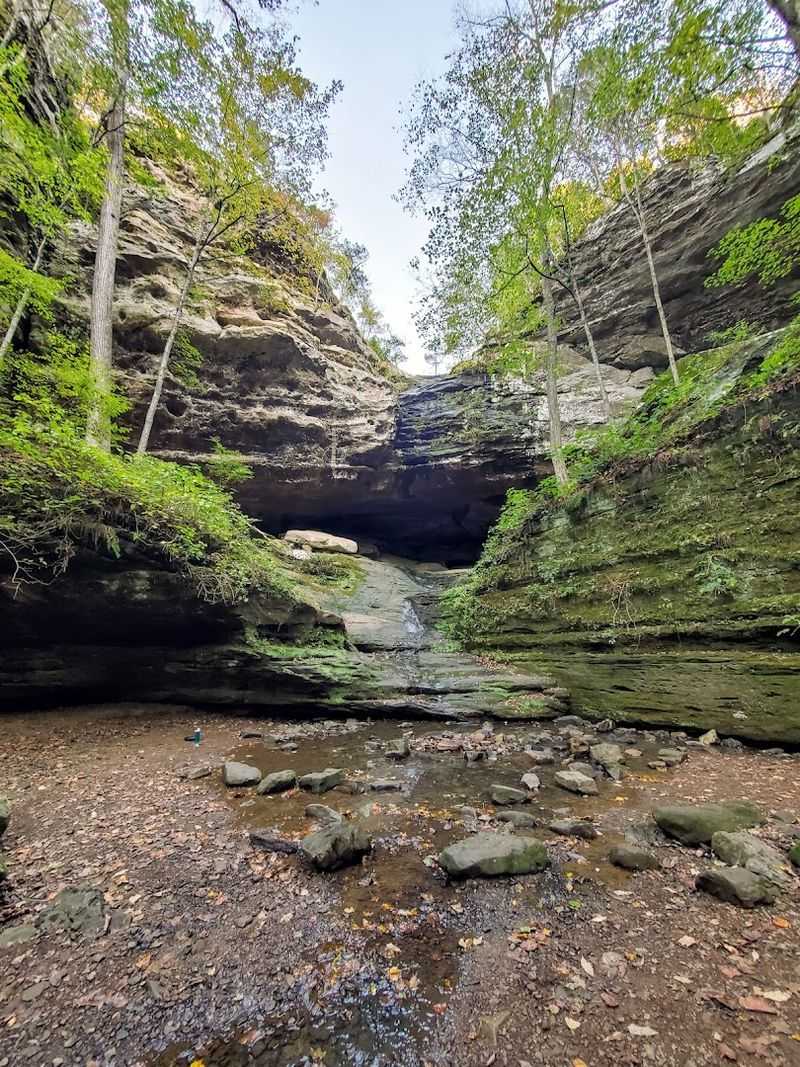 The Sandstone Canyon That Sets The Mood 