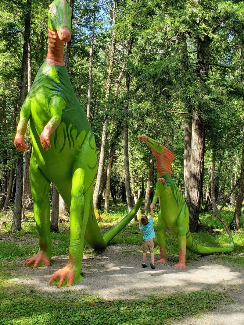 A Trail Where Dinosaurs Hide Among Cedars A Trail Where Dinosaurs Hide Among Cedars