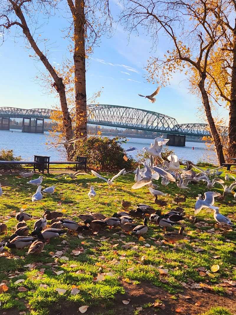 A Trail for Every Season
