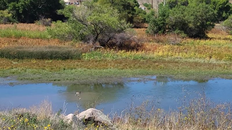 A Tranquil Setting That Suits Almost Anyone