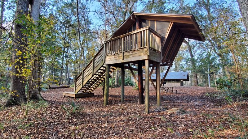 A Treehouse Stay That Barely Dents Your Wallet