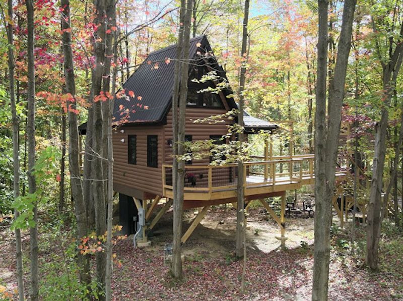 A Treehouse Village Just Minutes From Erie