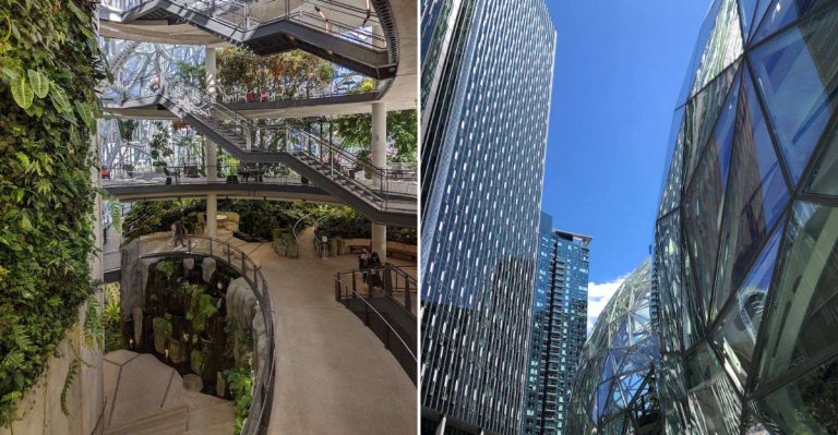 A Tropical Rainforest With 40,000 Plants Is Hidden Inside A Washington Office Campus