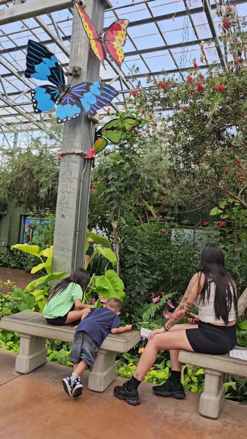 A Tropical Rainforest on the Arizona Boardwalk