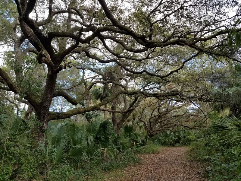 A True Old Florida Feeling A True Old Florida Feeling