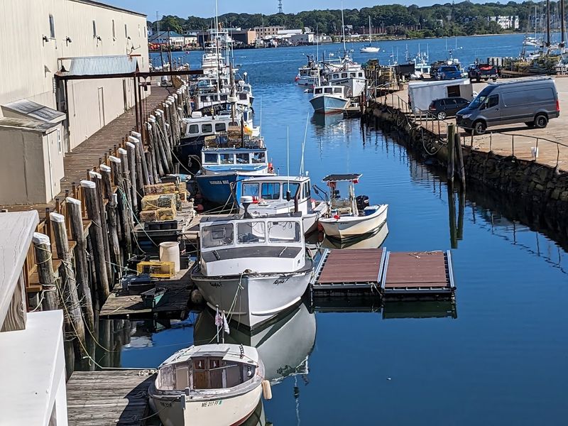 Waterfront Dining That Elevates It
