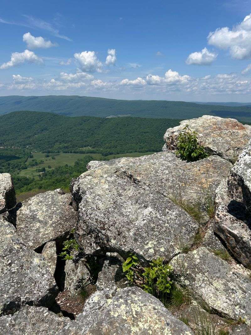 The Jaw-Dropping 210-Degree Valley Panorama