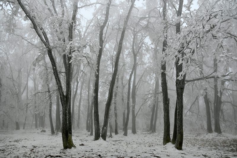 How Long Snow Stays Around