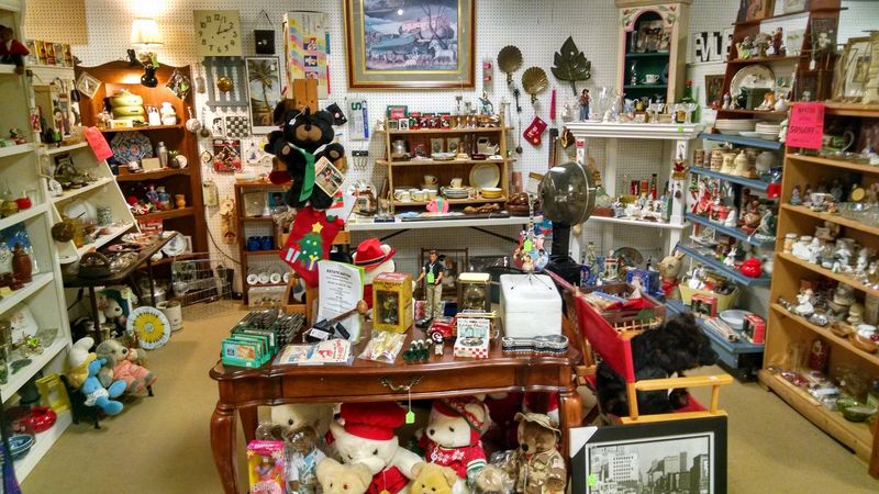 The Impressive Range of Collectibles on Display