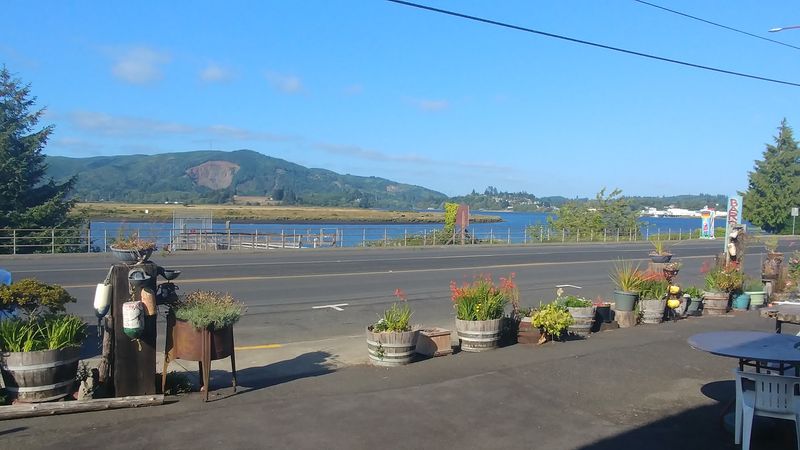 A View of the Willapa River