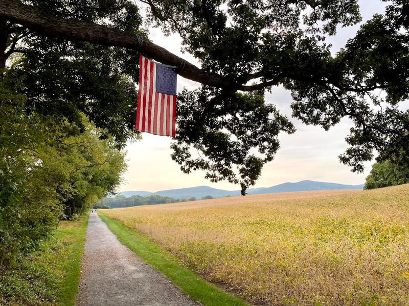 The Appalachian Trail Runs Right Through