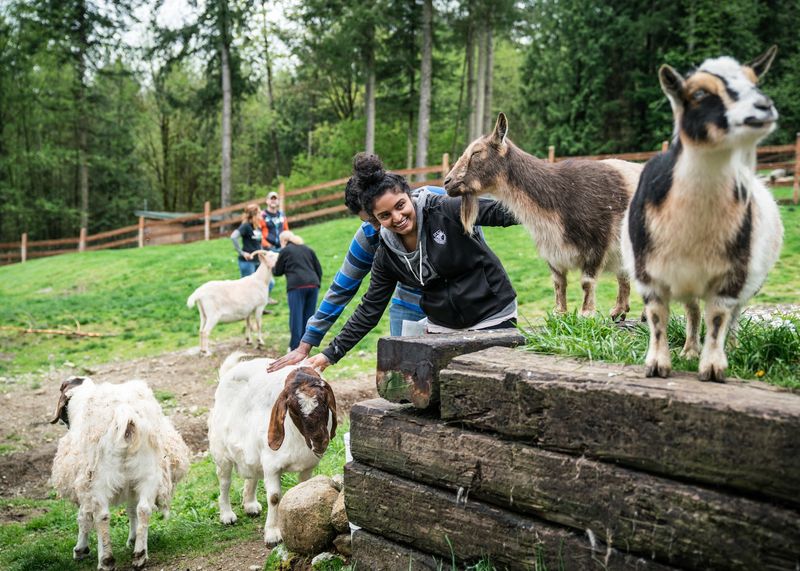A Volunteer Community Built on Compassion
